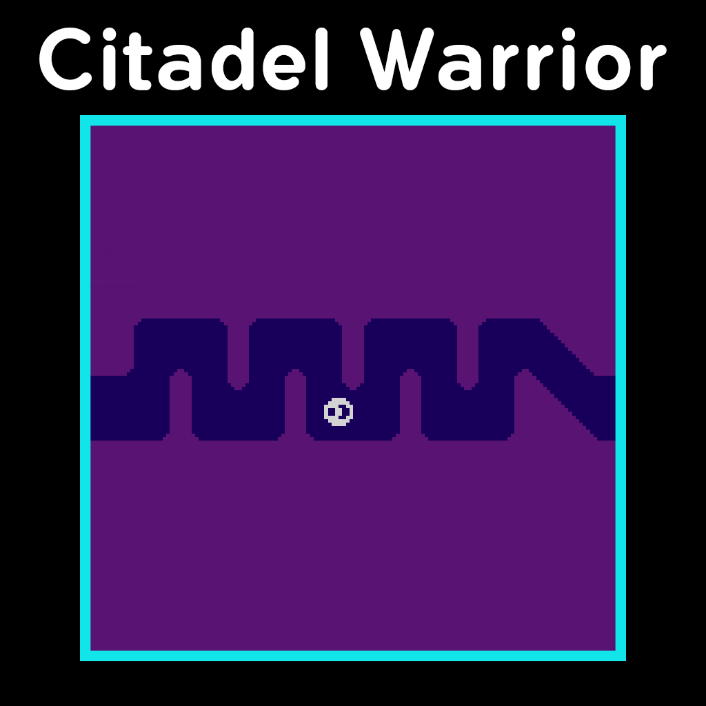 Citadel Warrior