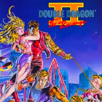 Double Dragon 2 - The Revenge