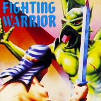 Fighting Warrior