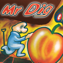 Mr Dig