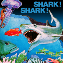 Shark! Shark!