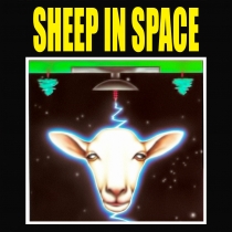 Sheep In Space